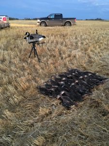 We had a blast with Bushnell Trigger Effect TV shooting an episode with Silver Wing Waterfowl